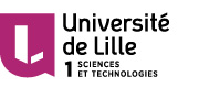 Logo Université de Lille Sciences et Technologies